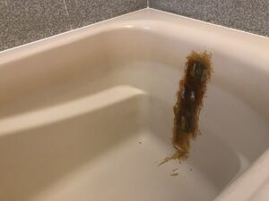 汚い壁紙